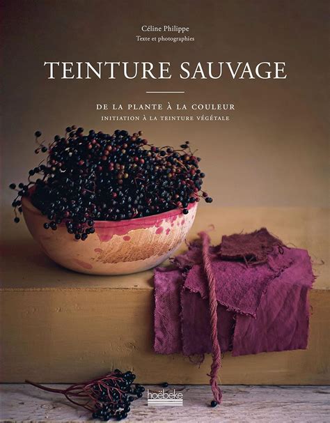 Teinture sauvage: De la plante à la couleur, initiation à la teinture 